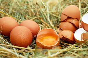 Ouăle ar putea ține loc de antibiotic