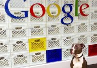 Compania Google, dată în judecată pentru urmăriri ilegale