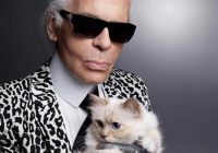 Choupette, pisica lui Karl Lagerfeld, moştenitoare a 200 de milioane de dolari