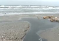 Plajă distrusă din cauza construcțiilor la Năvodari